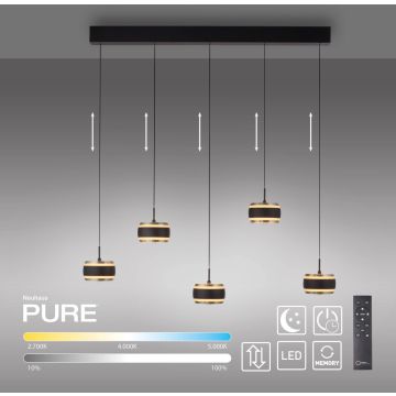 Paul Neuhaus PURE FALLING RINGS 2504-18 Závesná lampa 5x8W/LED 2200-5000k 1500lm ip20