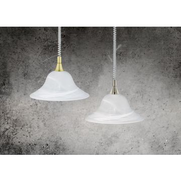 Trio VIOLA 301700108 Závesná lampa 1x60w/e27 ip20