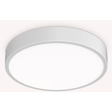 Ideal Lux RAY 318264 Stropné svietidlo 1x26W/LED ip44