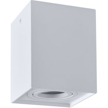 Polux HADAR 313119 Natáčané downlight svetlo 1x10W/GU10 IP20