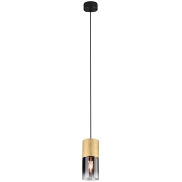 Trio ROBIN 310600154 Závesná lampa 1x28w/e27 ip20