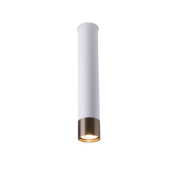 Antigo Eido 8251 Natáčané downlight svetlo 1x10W/GU10 IP20