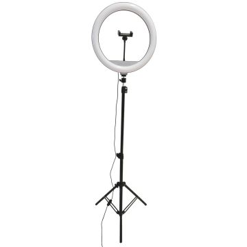 Polux SELFIE 327598 Stolná lampa na stôl 1x15W/LED 2700K-4000K-6000K 330lm IP20
