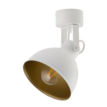 Sigma Lighting MARS 32265 Bodové svetlo 1x60W/E27
