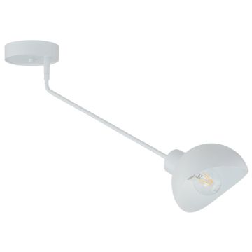 Sigma Lighting Roy 32428 Stropná lampa 1x15W/E27 IP20