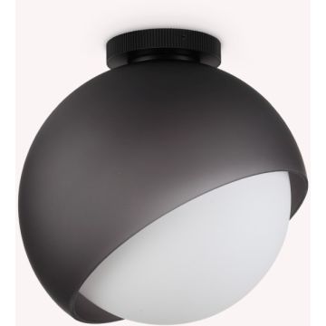 Ideal Lux BLOOM 366609 Stropná lampa 1x42W/E27 ip20