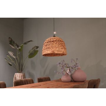 Dijk WATER HYACINTH 56106-017 Závesná lampa 1x40W/E27 IP20
