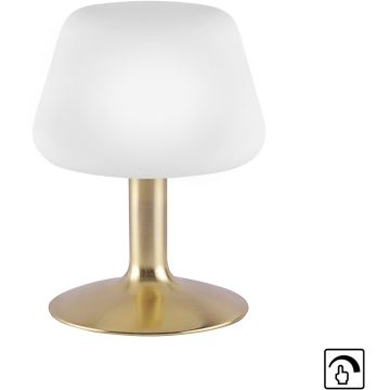 Paul Neuhaus TILL 4078-60 Stolná lampa 1x2,6W/G9 ip20