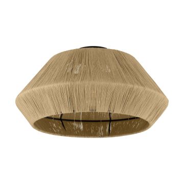 Eglo ALDERNEY 43784 Stropné svietidlo 1x40W/E27 IP20