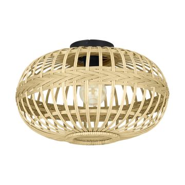 Eglo AMSFIELD 43723 Stropné svietidlo 1x40W/E27 IP20