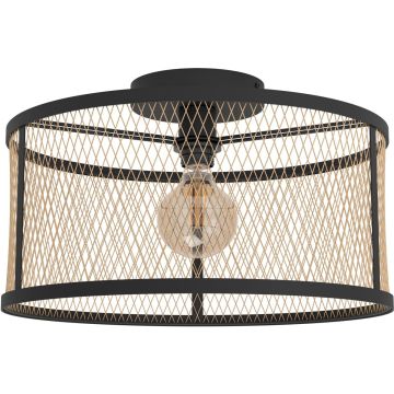 Eglo DELLOW 43603 Stropná lampa 1X40W/E27 IP20