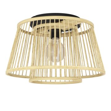 Eglo HYKEHAM 43851 Stropné svietidlo 1x40W/E27 ip20