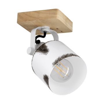 Eglo KILBURN 43921 Bodové svetlo 1x40W/E27 IP20