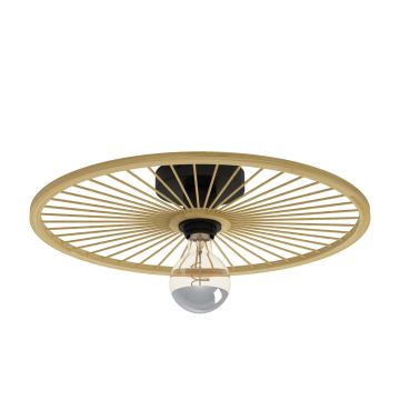 Eglo LEOMINSTER 43883 Stropná lampa 1x40W/E27 IP20
