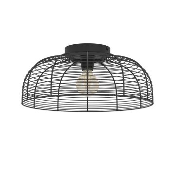 Eglo RINROE 43896 Stropná lampa 1x40W/E27 ip20