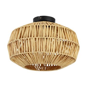 Eglo SHELDON 44142 Stropná lampa 1x40W/E27 ip20