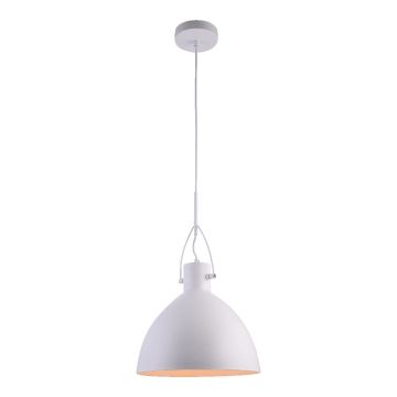 Prezent ANDROS II. 46301 Závesná lampa 1x40W/E27 IP20