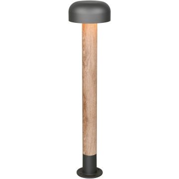 Trio FRASER 462560135 Stojanová lampa 1x10w/e27 ip54