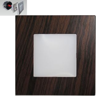 Prezent STEP LIGHT 48306 Schodová lampa na zabudovanie 1x1W/LED 60lm IP20