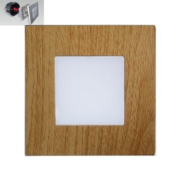 Prezent STEP LIGHT 48307 Schodová lampa na zabudovanie 1x1W/LED 60lm IP20