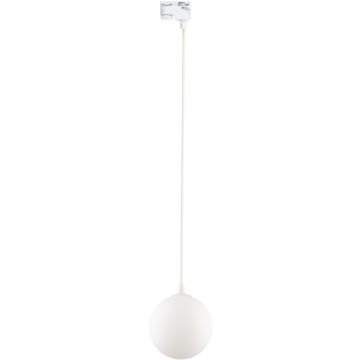 TK Lighting TRACER 4886 Koľajnicový reflektor 1x8W/G9 IP20