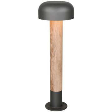 Trio FRASER 562560135 Stojanová lampa 1x10w/e27 ip54