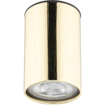 TK Lighting TOP 5736 Natáčané downlight svetlo 1x10W/GU10 IP20