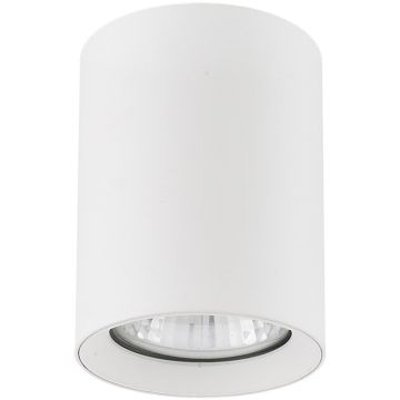 Alfa ARTEMIS 59020 Natáčané downlight svetlo 1x10W/GU10