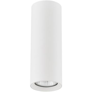 Alfa ARTEMIS 59024 Natáčané downlight svetlo 1x10W/GU10