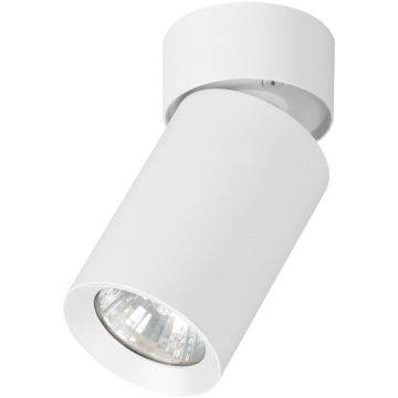 Alfa FLEX 59026 Natáčané downlight svetlo 1x10W/GU10
