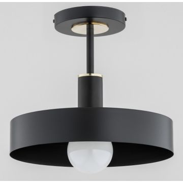 Alfa BERYT 60976 Stropná lampa 1x60W/E27 IP20