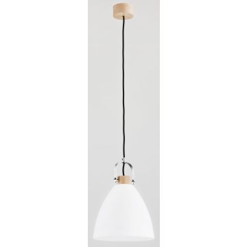 Alfa HERMINA 60365 Závesná lampa 1x60W/E27 IP20