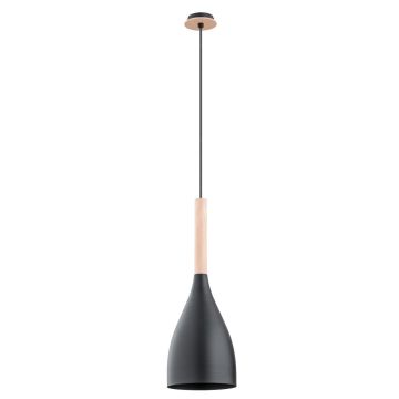 Alfa JUICE 60722 Závesná lampa 1x60W/E27 IP20