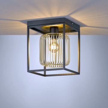 Fischer&Honsel Caydo 21294 Stropná lampa 1x40W/E27 IP20