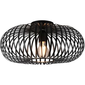 Trio JOHANN 606900132 Stropná lampa 1x60w/e27 ip20