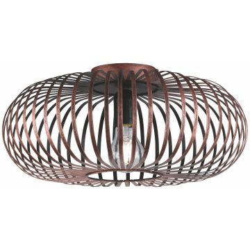 Trio JOHANN 606900162 Stropná lampa 1x60w/e27 ip20