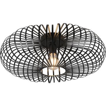 Trio JOHANN 606905032 Stropná lampa 1x60w/e27 ip20