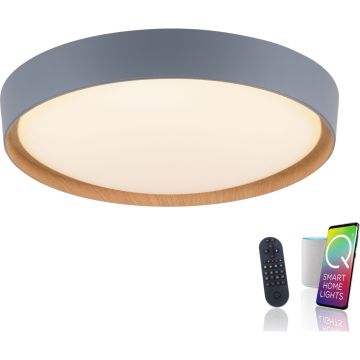 Paul Neuhaus Q-EMILIA 6118-15 Stropná lampa 1x40W/LED 2700-5000k 3720lm ip20