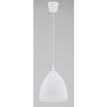 Alfa LERA 61326 Závesná lampa 1x15W/E27 IP20