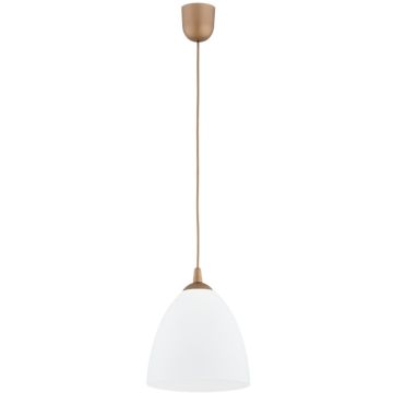 Alfa LERA 61465 Závesná lampa 1x15W/E27