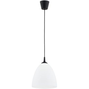Alfa LERA 61466 Závesná lampa 1x15W/E27