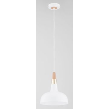 Alfa RODOS 61388 Závesná lampa 1x15W/E27 IP20