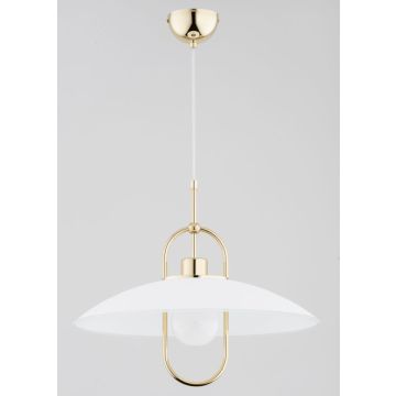 Alfa SALIX 61249 Závesná lampa 1x15W/E27 IP20