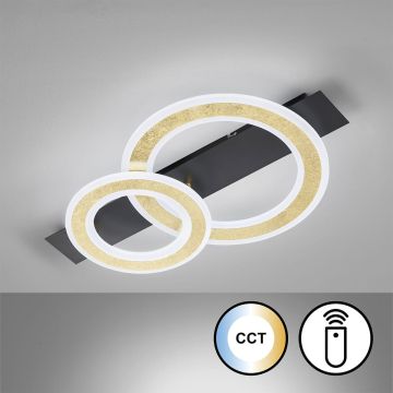 Fischer&Honsel Circle 21433 Stropné svietidlo 1x20W/LED 2700K 3100 lm IP20