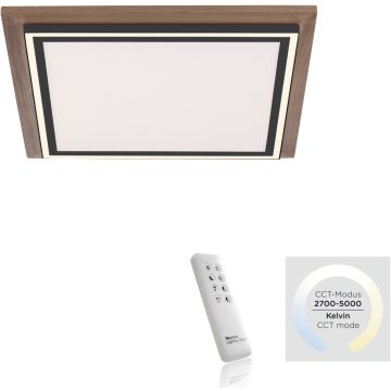 Paul Neuhaus PALMA 6141-79 Stropná lampa 2x50W/LED 2700-5000k 5100lm ip20