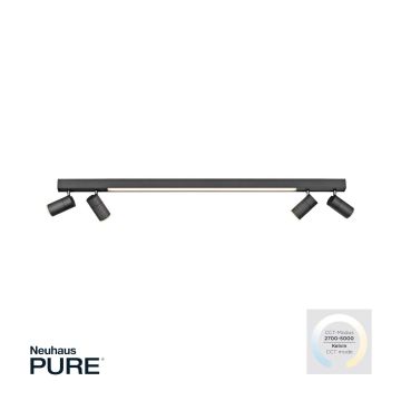 Paul Neuhaus PURE-LINE 6121-13 Bodové svetlo 5x4W/LED CCT 2700K-3000K 1280LM IP20