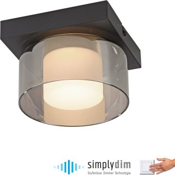 Paul Neuhaus RIKA 6162-18 Stropná lampa 1x6W/LED 3000k 680lm ip20