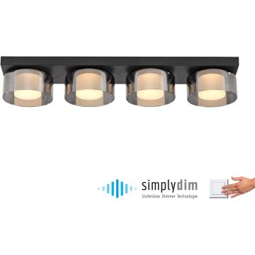 Paul Neuhaus RIKA 6164-18 Stropná lampa 4x24W/LED 3000k 3800lm ip20