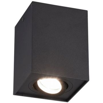 Trio BISCUIT 613000132 Natáčané downlight svetlo 1x35w/gu10 ip20