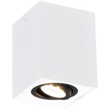 Trio BISCUIT 613000134 Natáčané downlight svetlo 1x35w/gu10 ip20